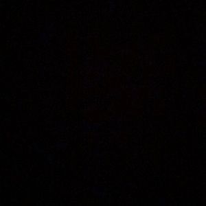 Meet your Posher, Jackson